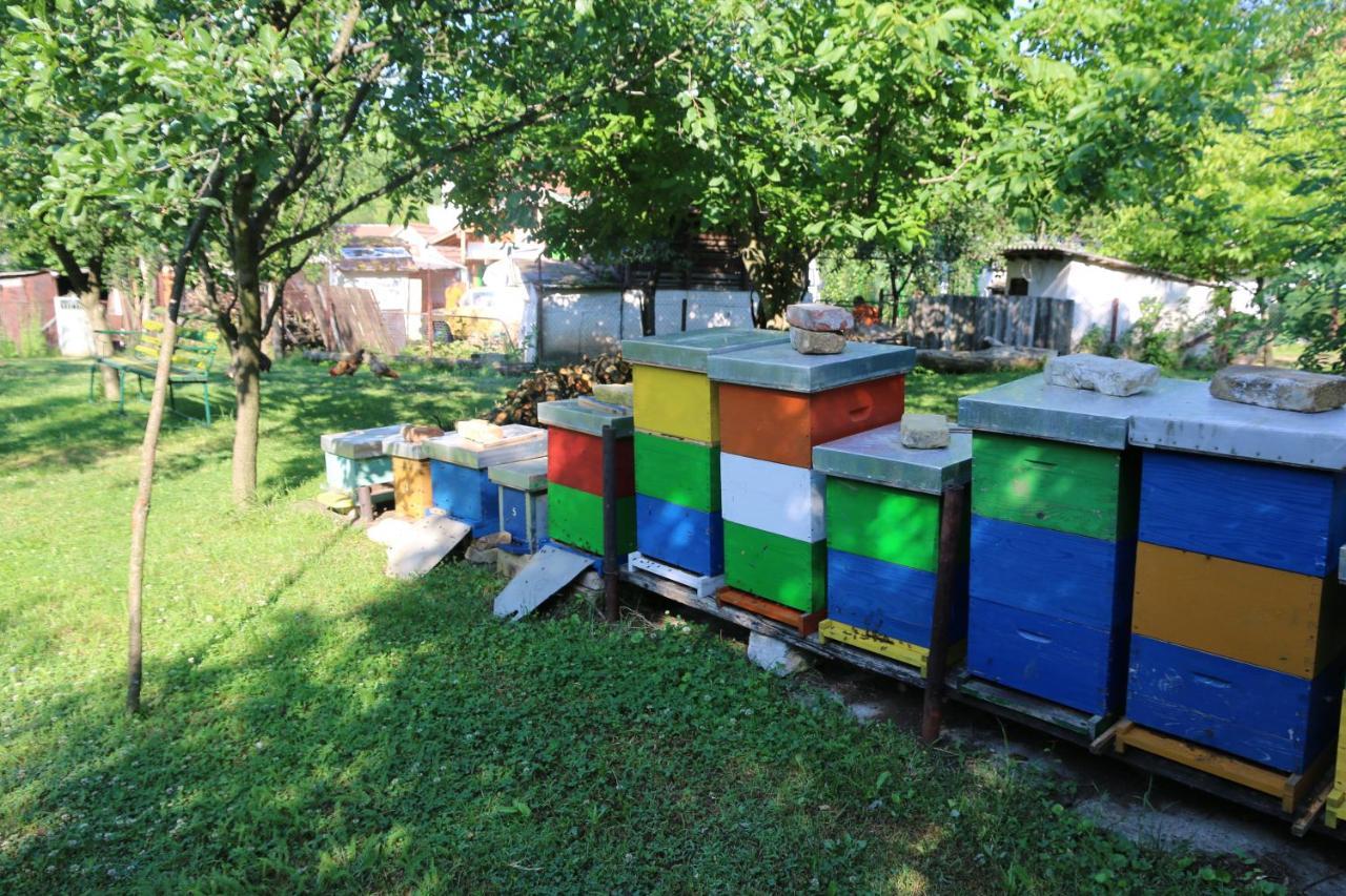 Apartman Rudnik Vrdnik Dış mekan fotoğraf