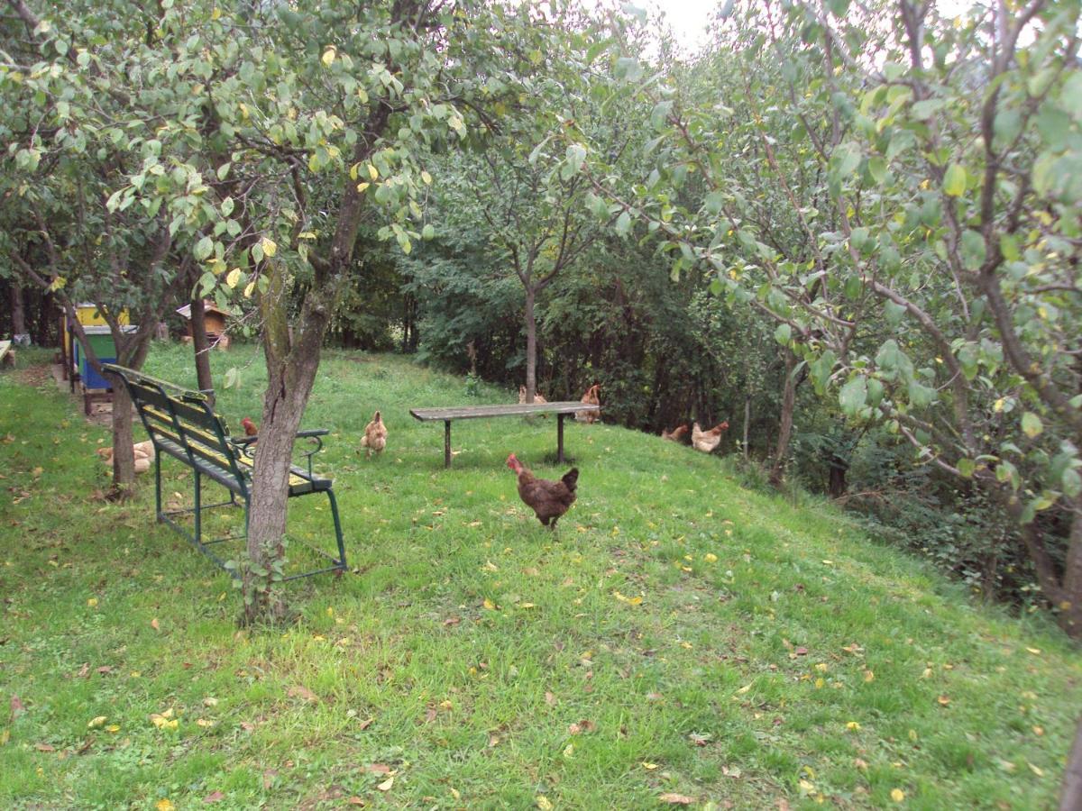 Apartman Rudnik Vrdnik Dış mekan fotoğraf